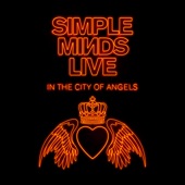 She's a River (Live in the City of Angels) artwork