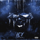 Icy (feat. King Tee) artwork