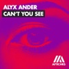 Can't You See - Single
