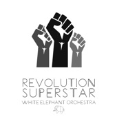 White Elephant Orchestra - Revolution Superstar