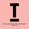 Right Back (feat. Dewitt Sound) - Single