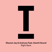 Right Back (feat. DeWitt Sound) by Sharam Jey