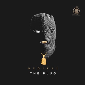 The Plug