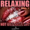 Relaxing Vol. 7 (not Only Chill Out)