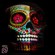 Hazardous Substances - Loj