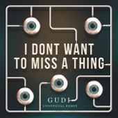 I Don't Want to Miss a Thing (Aerosmith) [GUDI Unofficial Remix] artwork