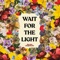 Wait for the Light - Jillian Jacqueline lyrics