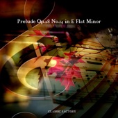 Prelude No. 14 in E-Flat Minor Op. 28 artwork