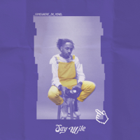 Jay Wile - Somewhere in Mind - EP artwork