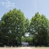 Stand by You - Single