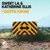 I Gotta Know (Radio Edit) song lyrics