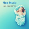 Night Moods & Sleep Songs Divine - Starry Sky