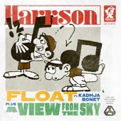 Harrison - A View From The Sky