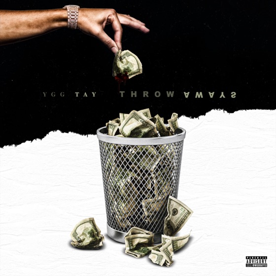 Cover artwork for Fly Shit
