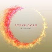Steve Cole - Starting Over