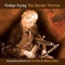 Connemara - Finbar Furey lyrics