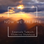 Now We Are Free - Single