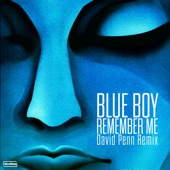Remember Me (David Penn Extended Remix) artwork