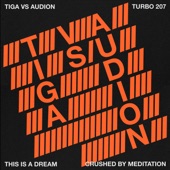 This Is a Dream (Tiga vs. Audion) artwork