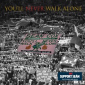 You'll Never Walk Alone (A Song for Seán Cox) artwork