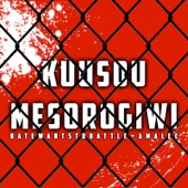 Kuusou Mesorogiwi (From "Future Diary") [feat. AmaLee] artwork
