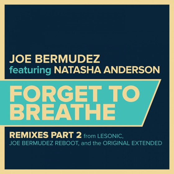 Cover artwork for Forget To Breathe