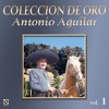 Colección de Oro: Corridos, Vol. 1, 2009