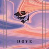 Dove - Single
