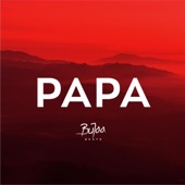 Papa (Instrumental) artwork