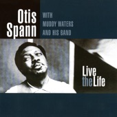 Live the Life (feat. Muddy Waters) artwork