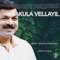 Akula Vellayil (feat. Wilson Piravom) - Dencil M Wilson lyrics