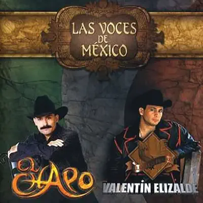 Las Voces De México - Valentín Elizalde