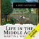 Martyn Whittock - A Brief History of Life in the Middle Ages: Brief Histories (Unabridged)