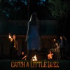 Catch a Little Buzz - Single