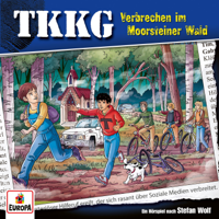 TKKG - Folge 215: Verbrechen im Moorsteiner Wald artwork