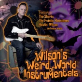 Wilson's Weird World of Instrumentals artwork