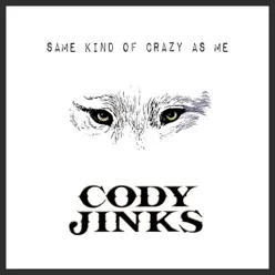 Same Kind of Crazy as Me - Single - Cody Jinks Same Kind of Crazy as Me - Single - Cody Jinks