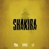 Stream & download Shakira - Single