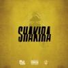 Shakira - Single