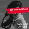 Got What You Need (feat. Jdale) - Single album lyrics, reviews, download