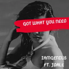 Got What You Need (feat. Jdale) - Single by IAmGenius album reviews, ratings, credits