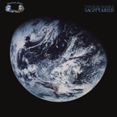 Sagittarius - I See in You