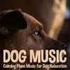 Dog Music: Calming Piano Music for Dog Relaxation album lyrics, reviews, download