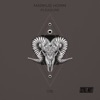 Markus Homm - Pleasure