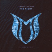 The Night (Extended Mix) artwork