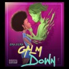 Calm Down - Single