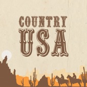 Country USA artwork