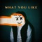 What You Like (feat. Flipp Dinero) - DAYXIV lyrics