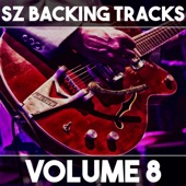 SZ Backing Tracks Collection, Vol. 8 artwork