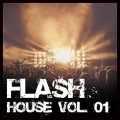 Flash House, Vol. 01 artwork